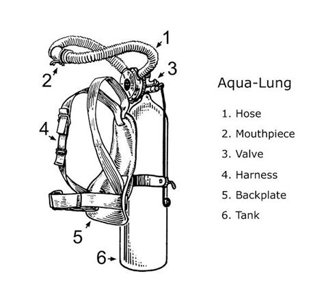 labeled diagram of the aqua lung 